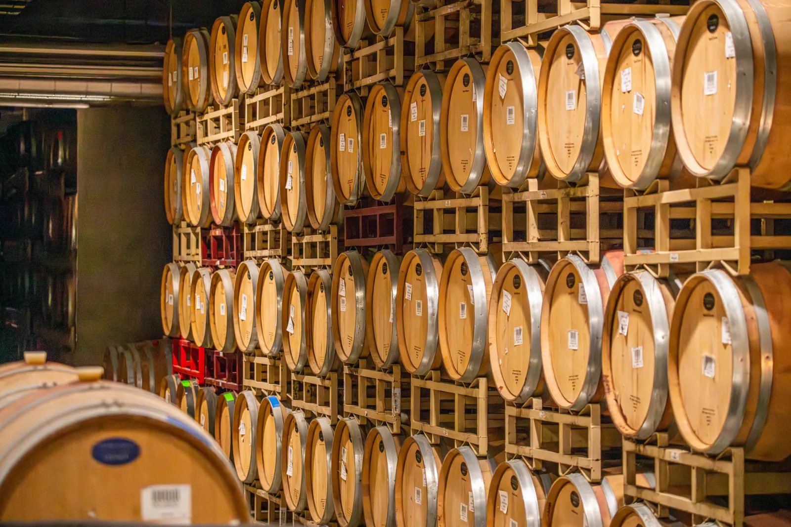 Oak barrels stacked in a winery cellar