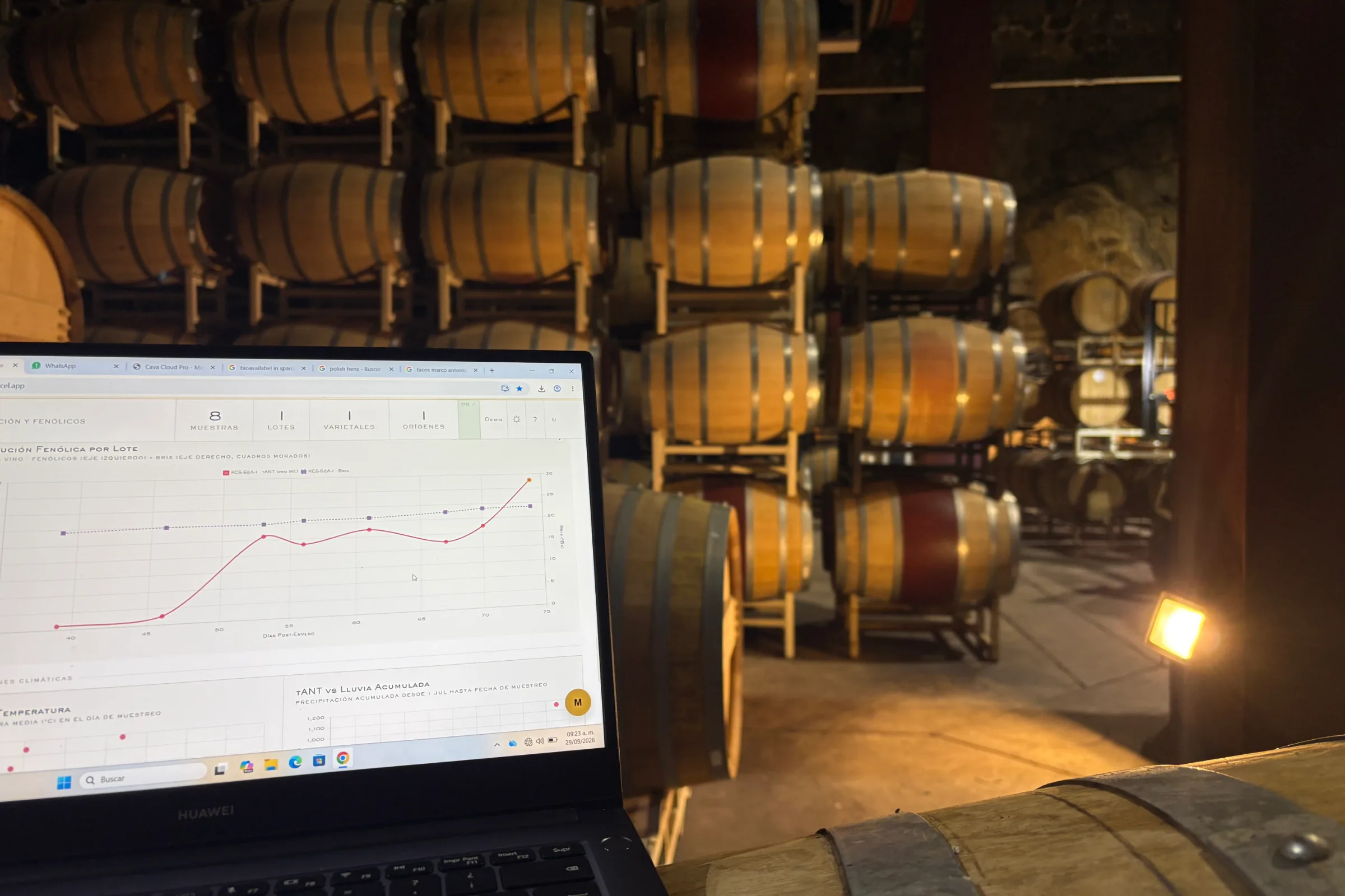 Monte Xanic, the winery in one frame